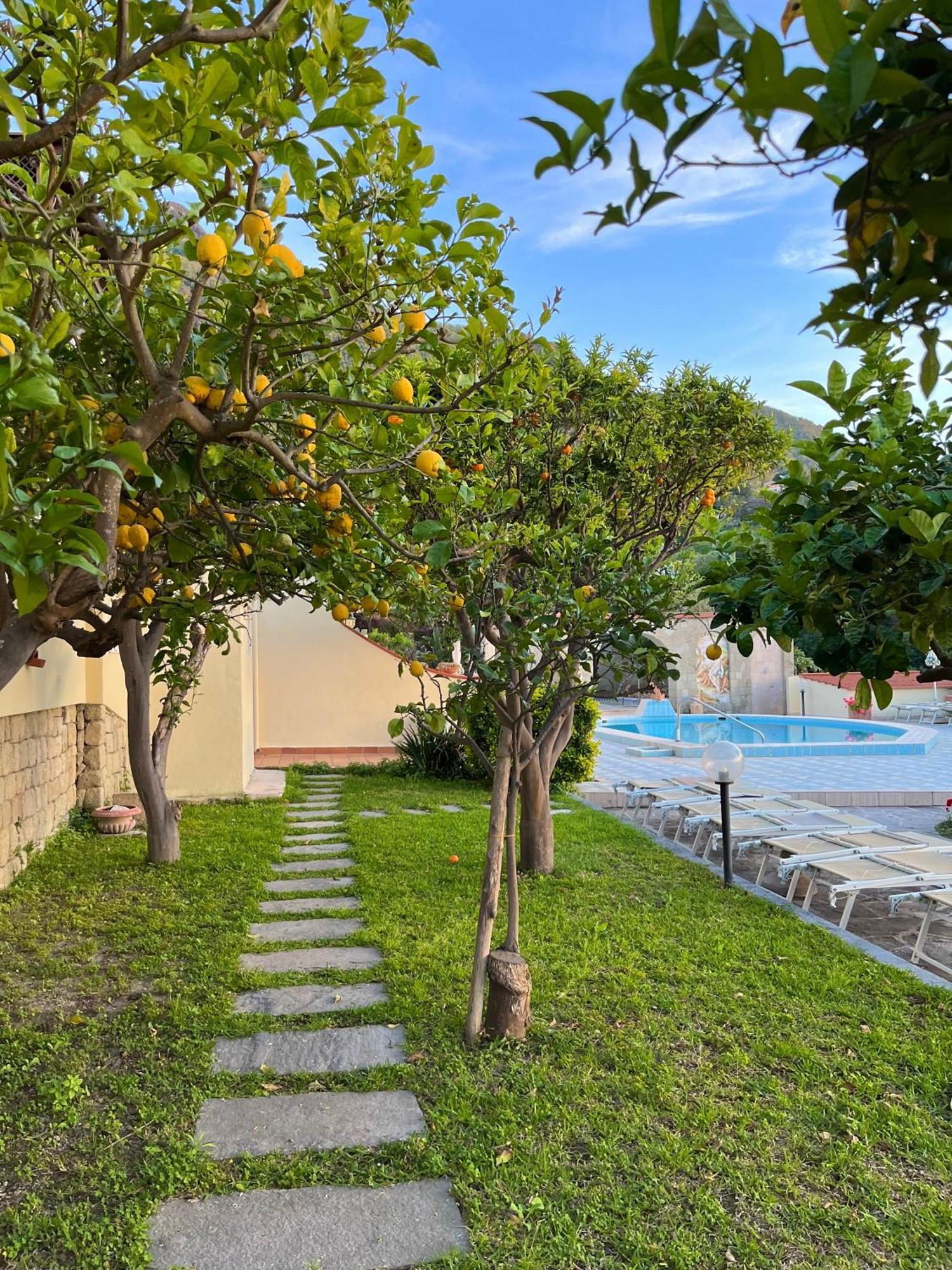 Resort Villa Flavio Casamicciola Terme Luaran gambar