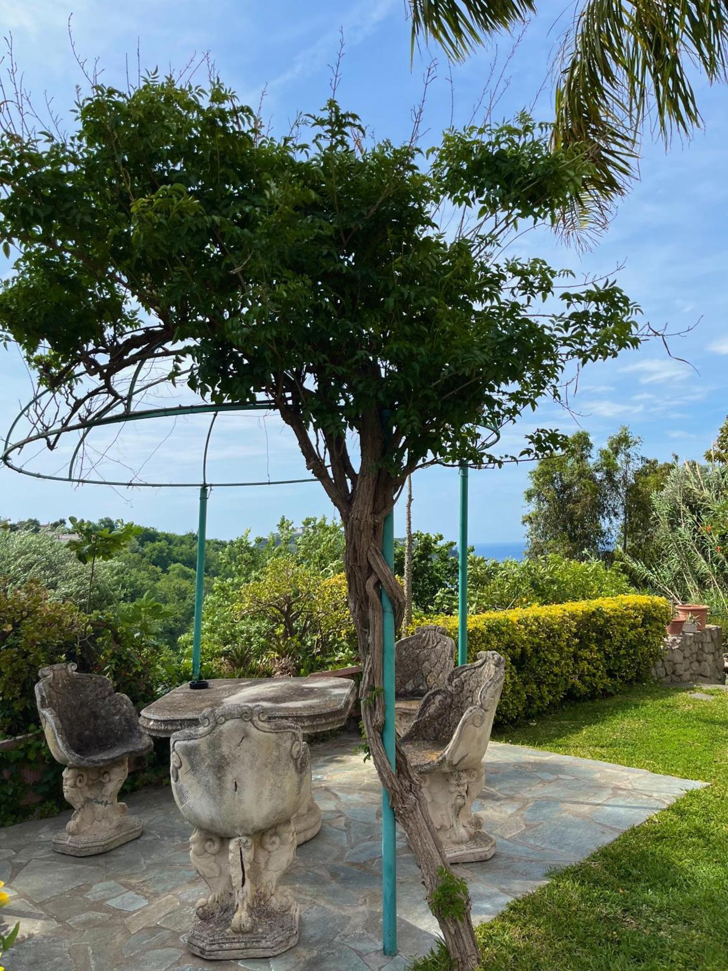 Resort Villa Flavio Casamicciola Terme Luaran gambar