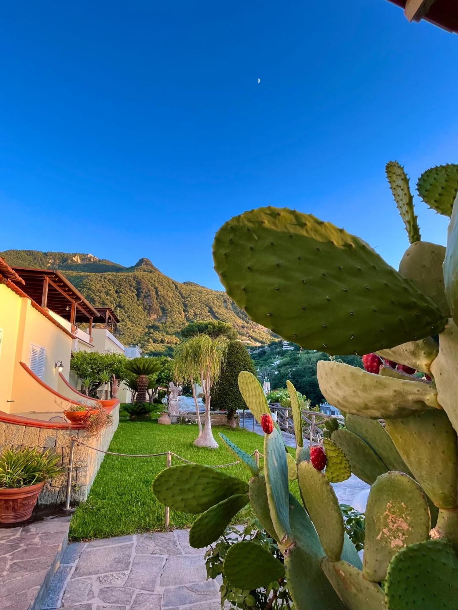 Resort Villa Flavio Casamicciola Terme Luaran gambar