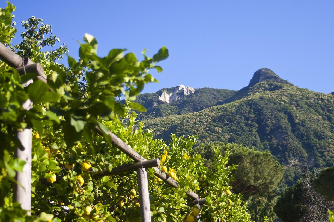 Resort Villa Flavio Casamicciola Terme Luaran gambar